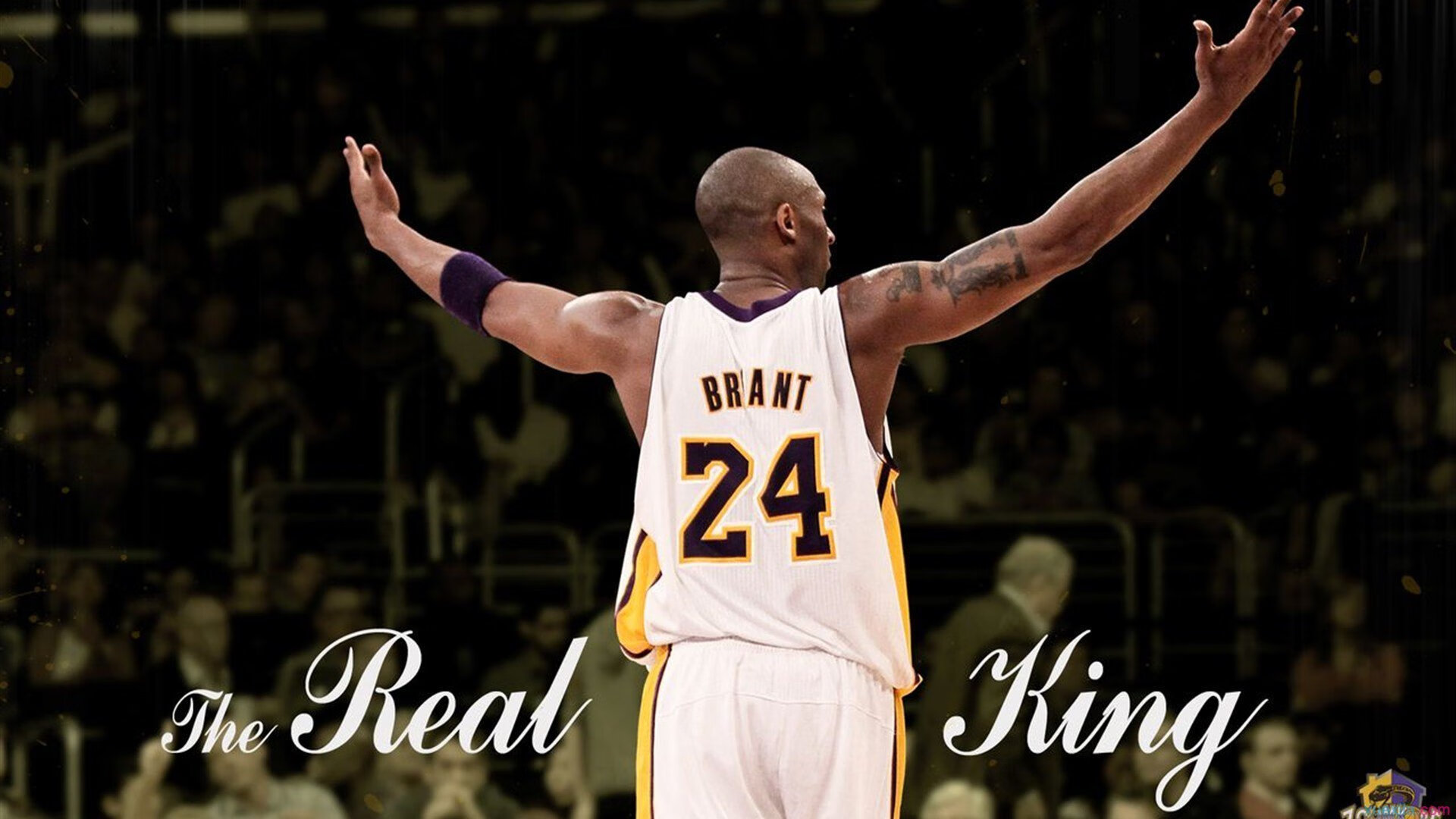 九游体育官网-托里·哈斯克决赛发挥超出预期，托拜厄斯·哈里斯顶薪